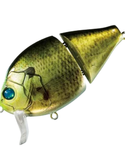 Valley Hill Boogie Back Hard Body