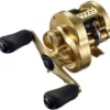 Shimano Casting Reels 2021 Calcutta Conquest