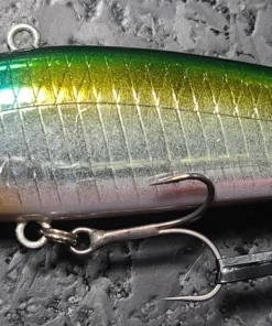 Obass Live Lipless Mola Mola Doryuu Silent