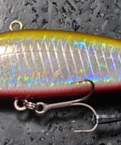 Obass Live Lipless Mola Mola Doryuu Silent