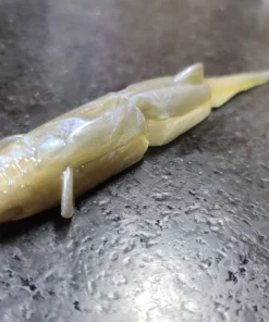 YG.Iabo Creatures Witch Lana