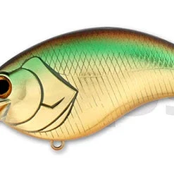 Deps Evoke 3.0 Medium Diving (8-14ft.)