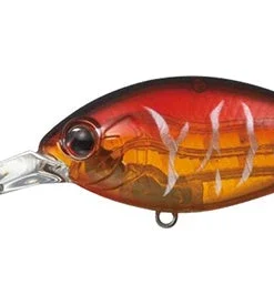 Evergreen International Combat Crank 320