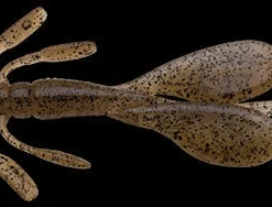 Nories Escape Little Twin Creatures