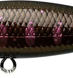 Lucky Craft Pointer 48SP 13 Lucky Craft Pointer 48SP