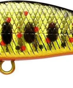 Lucky Craft Jerkbaits Pointer 50 13 Lucky Craft Jerkbaits Pointer 50