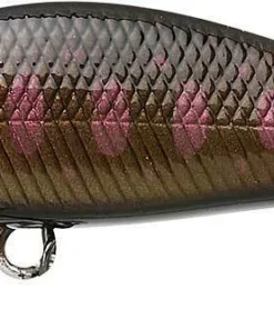 Lucky Craft Jerkbaits Pointer 50 11 Lucky Craft Jerkbaits Pointer 50