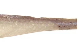 Optimum Baits Optigrub