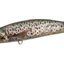 Duo Realis Spearhead Ryuki 80S Jerkbaits 24 Duo Realis Spearhead Ryuki 80S Jerkbaits