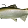 Huddleston Deluxe Soft Body 8 Inch Swimbaits