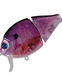 Valley Hill Boogie Back Hard Body