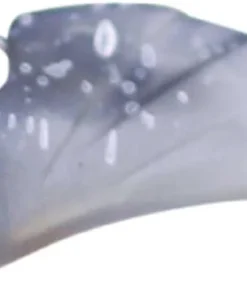 Lucky Craft Lipless Air Claw