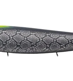 Evergreen International Amazon