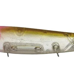 Evergreen International Amazon