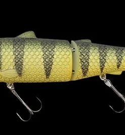 Baitsanity Antidote Glide Hard Body