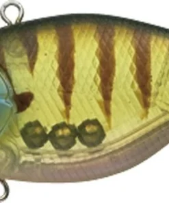 Evergreen International Lipless Buzzer Beater TG