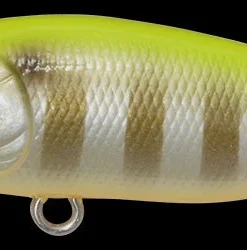 Megabass Baby Pop-X