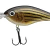 Strike King Pro Model 6XD Crankbaits 1 Strike King Pro Model 6XD Crankbaits