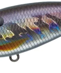 Evergreen International Belcanto Shallow Diving (0-7ft.)