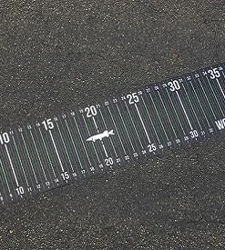 Working Class Zero Scales/Measuring Boards Travel Ready Big Pike Board