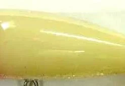 Yellow Magic Magnum Popper