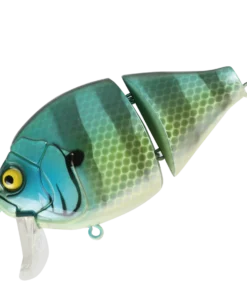 Valley Hill Boogie Back Hard Body