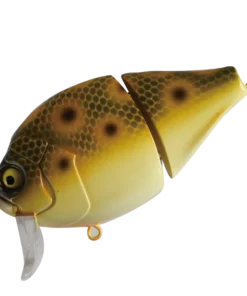 Valley Hill Boogie Back Hard Body