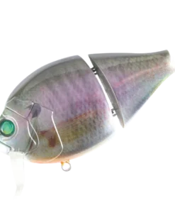 Valley Hill Boogie Back Hard Body