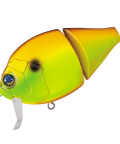 Valley Hill Boogie Back Hard Body