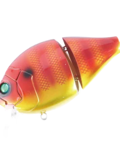 Valley Hill Boogie Back Hard Body