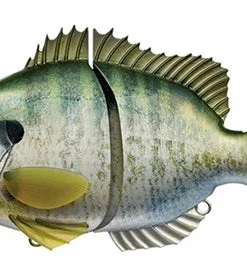 Evergreen International Hard Body Bream Slide