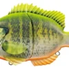 Evergreen International Hard Body Bream Slide