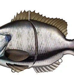 Evergreen International Hard Body Bream Slide