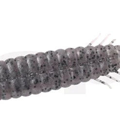 Deps Bull Slender Creatures