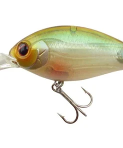 Evergreen USA CR-8 Crankbaits Medium Diving (8-14ft.)