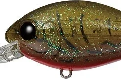 Evergreen USA CR-8 Crankbaits Medium Diving (8-14ft.)