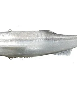 Signal Japan Carp Head Soft Body