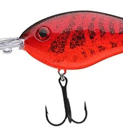 Strike King Pro Model 6XD Crankbaits