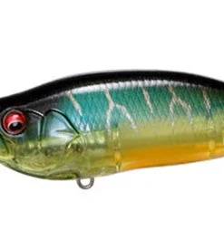 Megabass IxI Shad Type-R