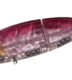 Wild Lures Wild Beat Hard Body