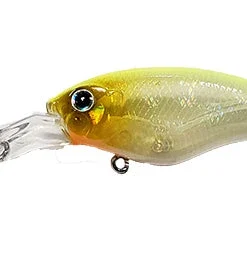 ISM Closer 55F Shallow Diving (0-7ft.)