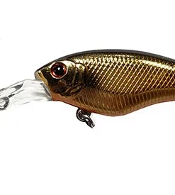 ISM Closer 55F Shallow Diving (0-7ft.)