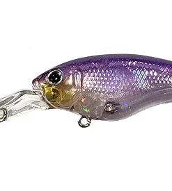 ISM Closer 55F Shallow Diving (0-7ft.)