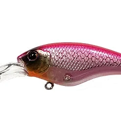 ISM Closer 55F Shallow Diving (0-7ft.)