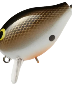 Smith LTD. Shallow Diving (0-7ft.) Corot SR