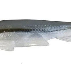 3:16 Lure Company Rising Son