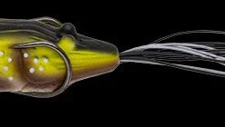 Nories Chibi Ebigaeru