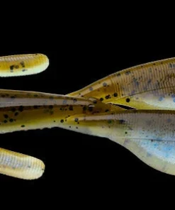 Nories Escape Little Twin Creatures