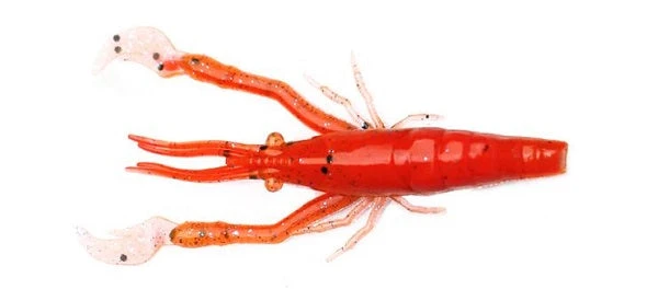 Little Jack Creatures Modelism Ebi 8 Little Jack Creatures Modelism Ebi