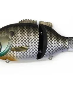 Baitsanity Explorer Gill 6 Hard Body 11 Baitsanity Explorer Gill 6 Hard Body